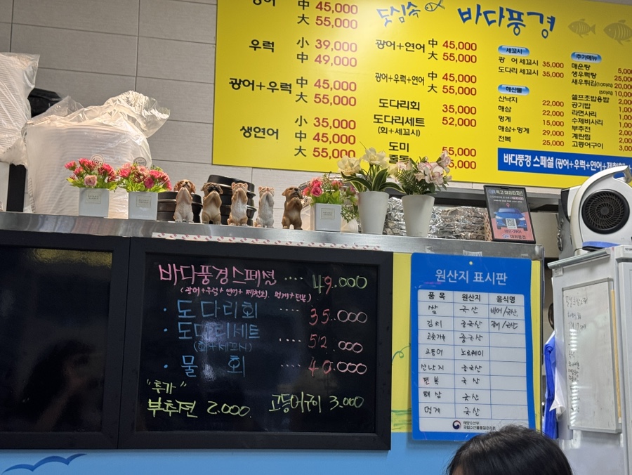 도심속바다풍경 사진 3