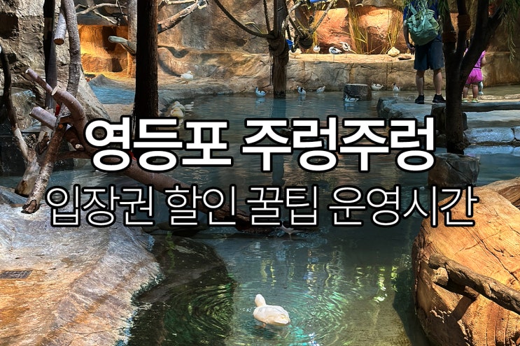  [서울 가볼만한 곳 추천] 영등포 타임스퀘어 주렁주렁 실내 동물원, 가격 할인 꿀팁