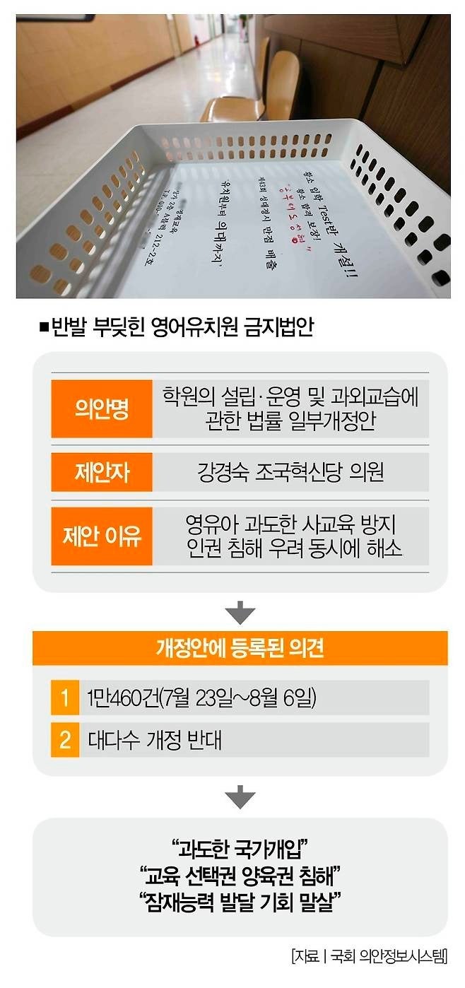  영어유치원 금지법! 4세·7세 고시, 과열된 유아 사교육 논란, 아동학대 vs 선택권