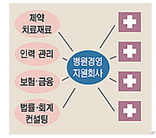 알면 돈 버는 동물병원 MSO(병원경영지원회사)와 네트워크 병원의 장점 및 단점과 세금