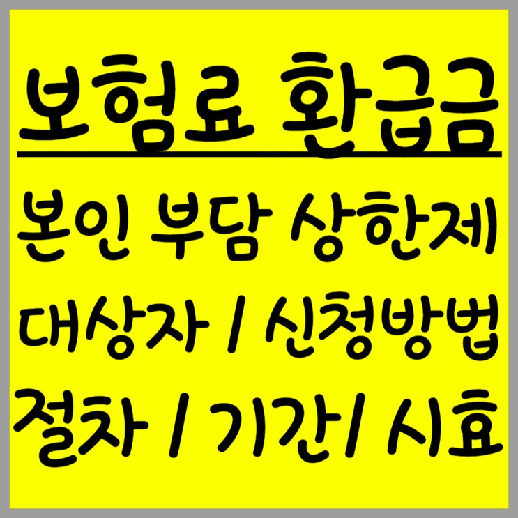  본인 부담 상한액 초과분 보험료 환급금 조회 및 신청