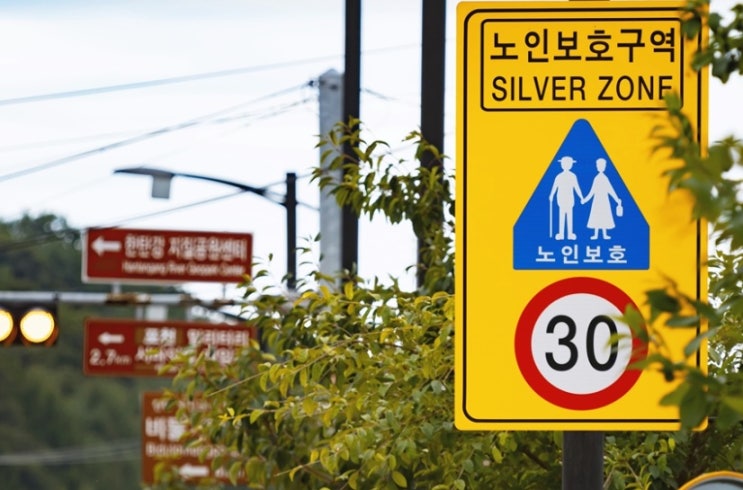  노인보호구역 속도위반 과태료 벌점