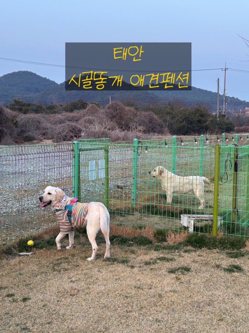 사진 13