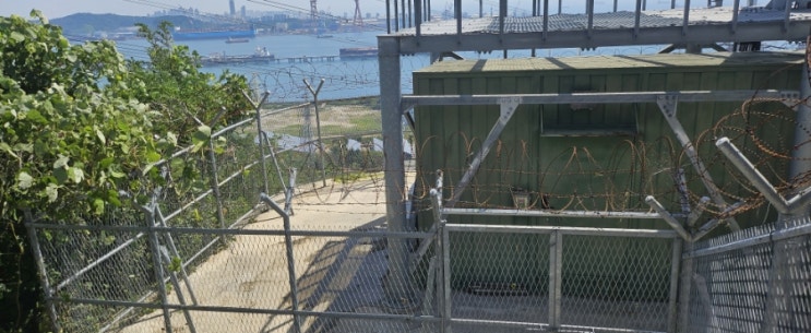  울산 봉대산 정상 공공기관 통신탑 주변 예초제초대행("울산예초대행")