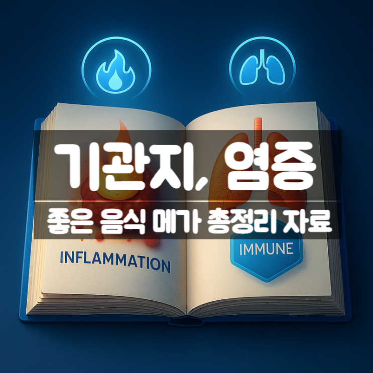  염증 기관지에 좋은 음식 약초 총정리 – 항산화 항염 슈퍼푸드
