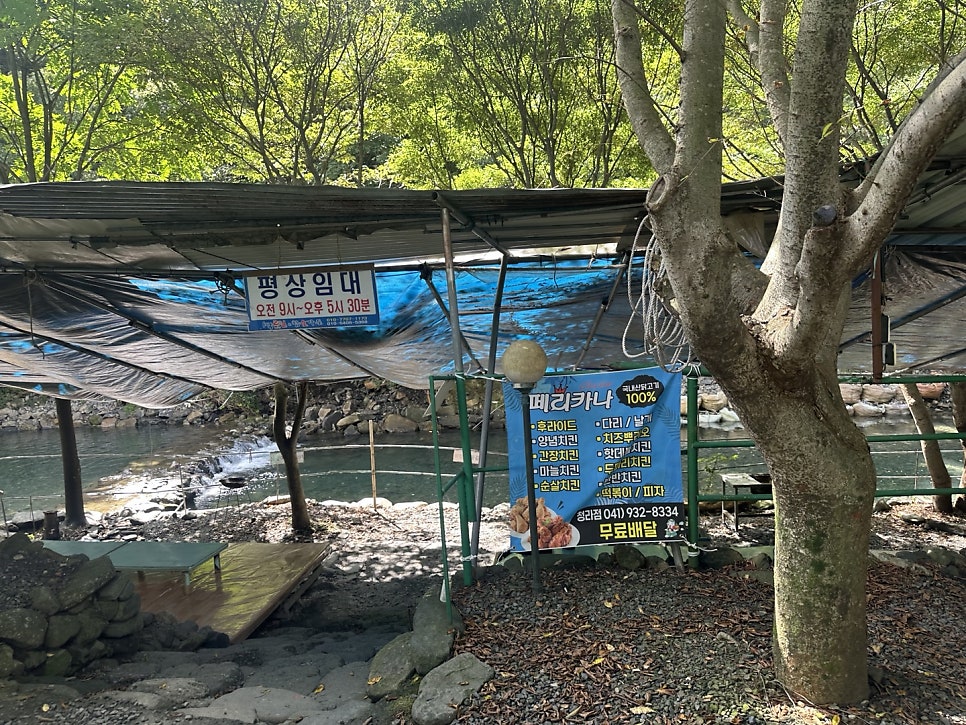 1박2일펜션&참숯가든 사진 2