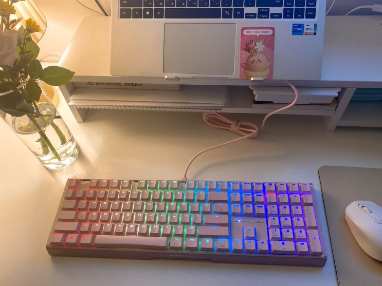  체리키보드 MX 3.1 RGB MX2A 축, 게이밍 기계식 사용후기 (적축, 핑크, G80-3890HJAKR-9)