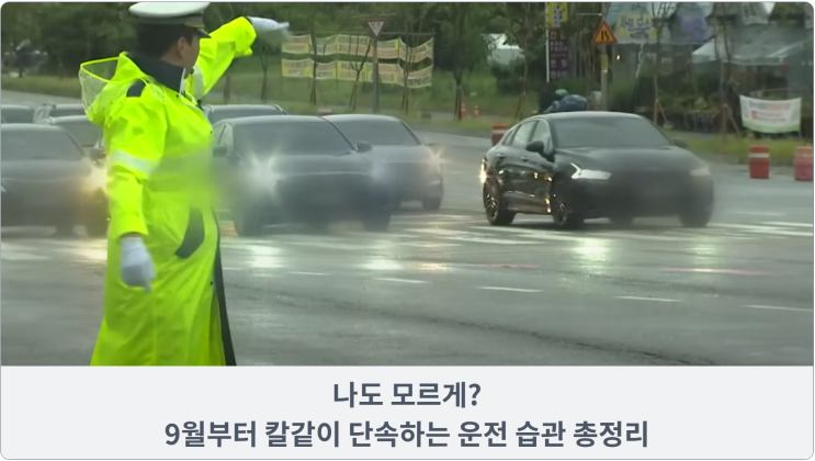  나도 모르게? 9월부터 칼같이 단속하는 운전 습관 총정리