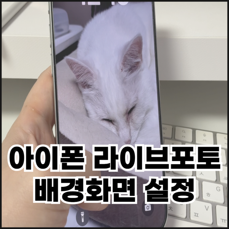  아이폰 라이브포토 배경화면 설정하는 방법