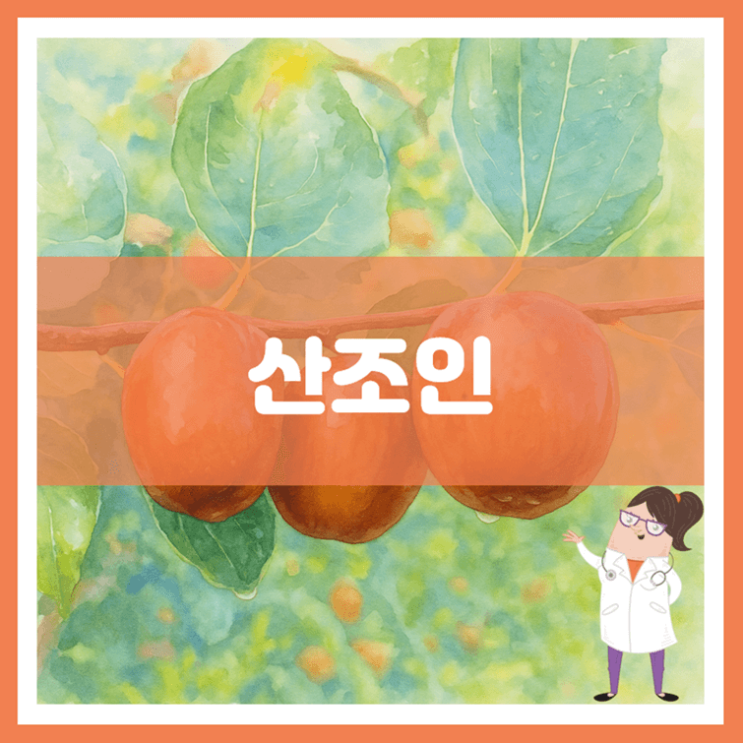  산조인 효능 부작용 먹는 방법
