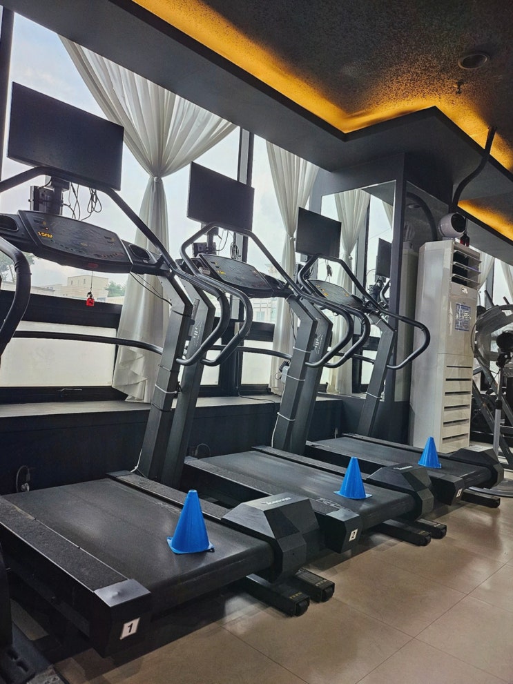  [인프라짐 PT 대화역헬스장] 전문 트레이너와 함께하는 일산PT 프로그램
