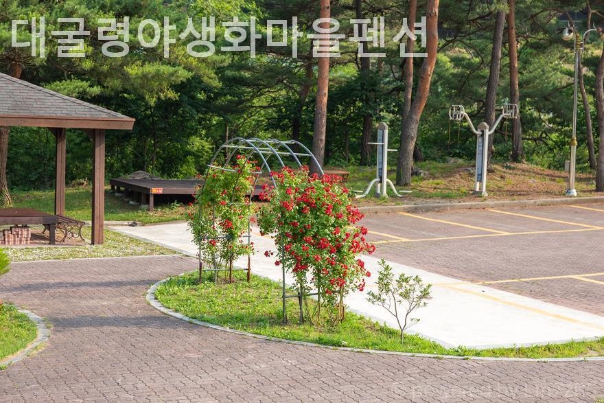 강릉 야생화마을펜션 사진 4