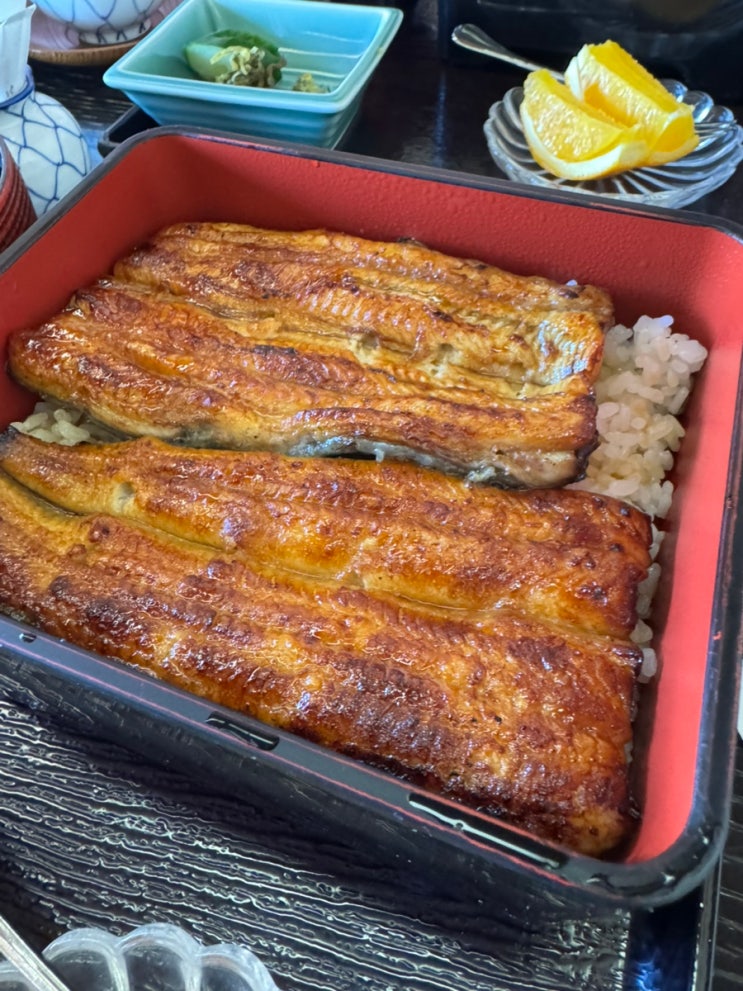  아사쿠사 장어덮밥 맛집 도쿄 고마가타 마에카와 아사쿠사 본점(駒形前川 浅草本店) 우나기덮밥