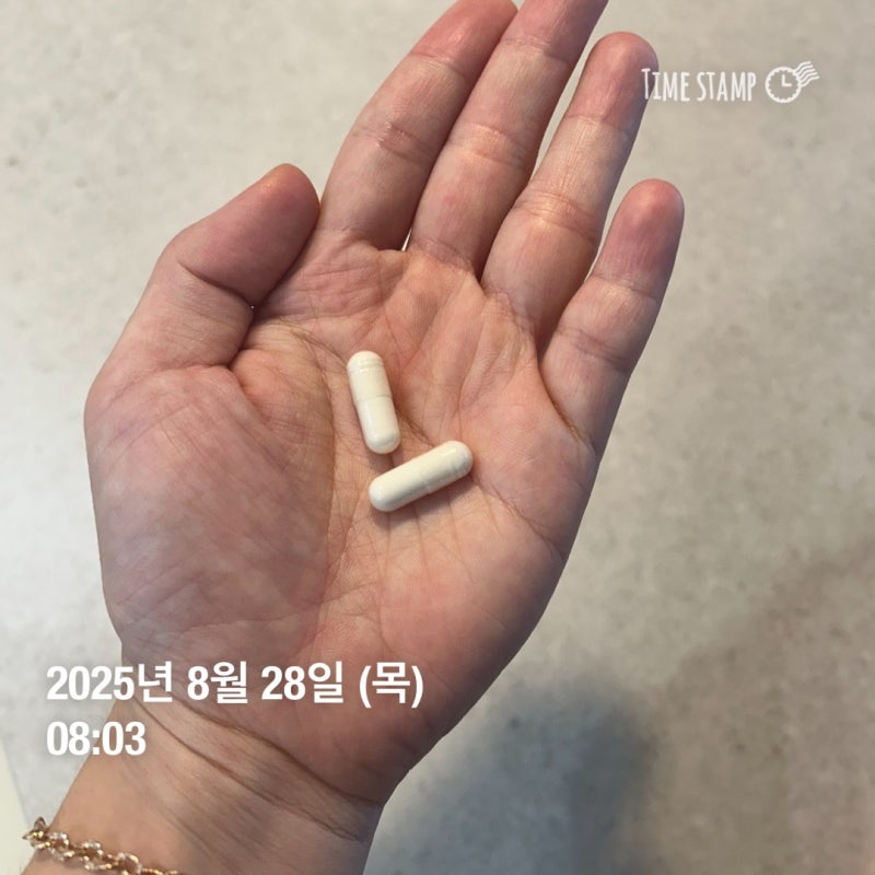 김희선유산균 비엔날씬 다이어트 유산균 세달후기