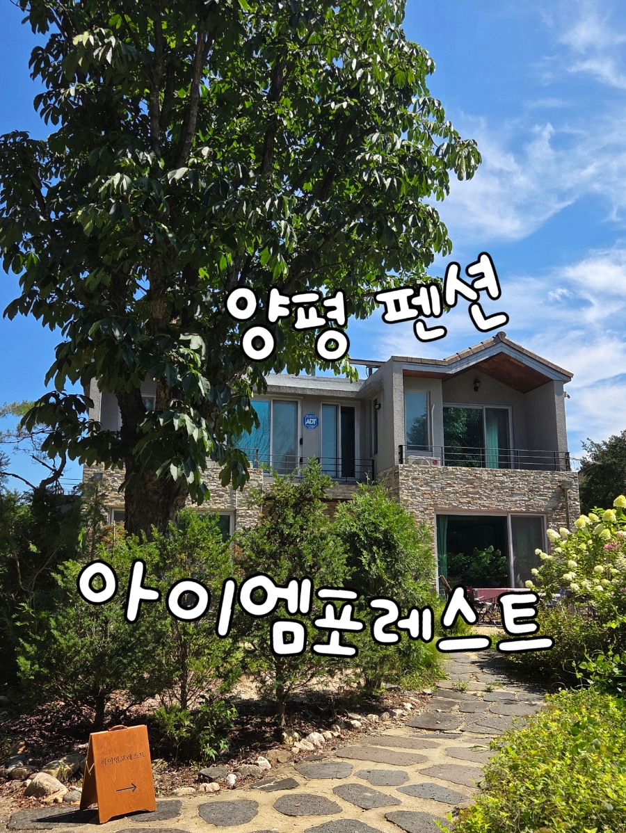아이엠포레스트 사진 1