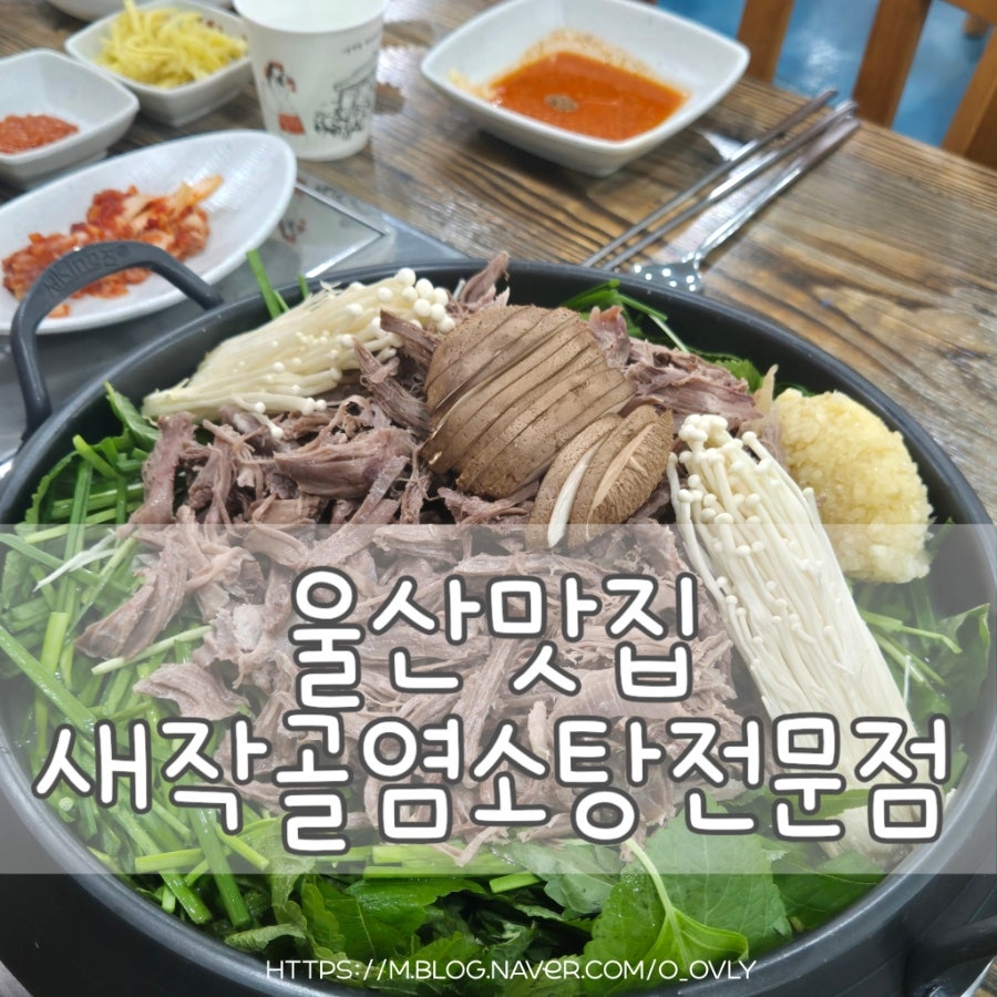 새작골 염소탕전문점 울산북구점 사진