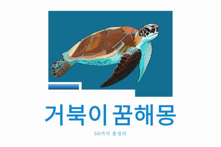  거북이 꿈해몽
