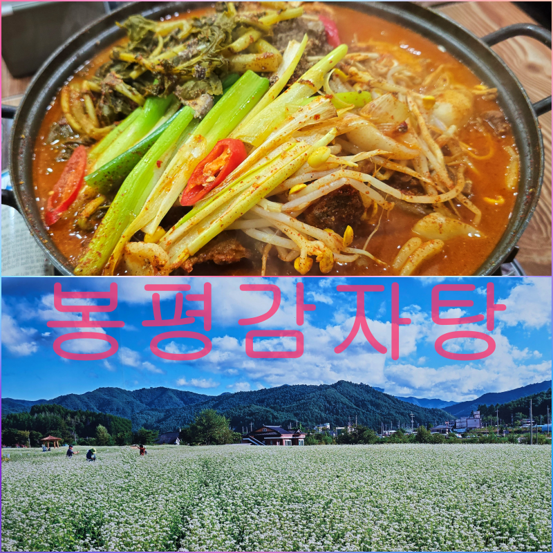 장금이감자탕 휘닉스점 사진 1