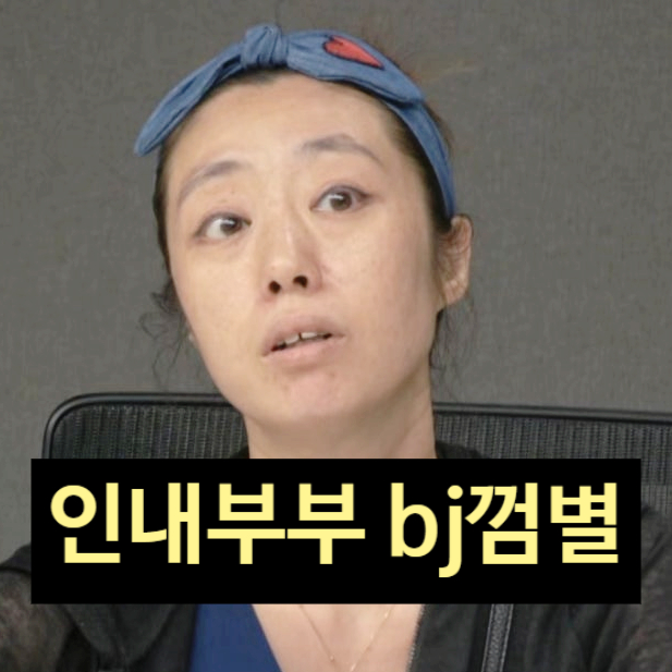  이혼숙려캠프 인내부부 bj 아내 껌별! 논란 충격적 과거 폭로 발각!