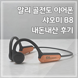 알리 골전도 이어폰 샤오미 B8 내돈내산 후기
