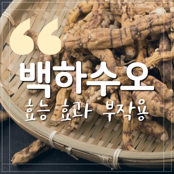  백하수오 효능 부작용 먹는법 갱년기