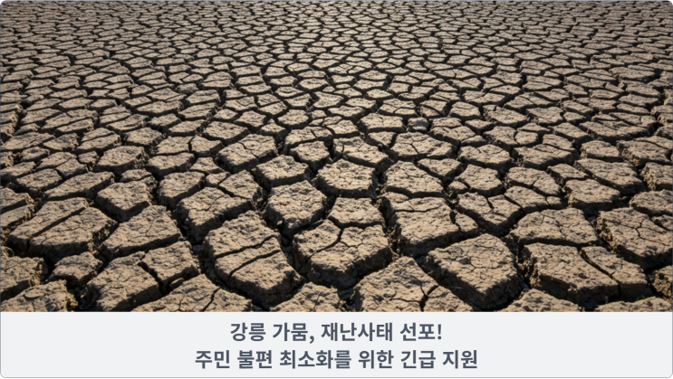 강릉 가뭄, 재난사태 선포! 주민 불편 최소화를 위한 긴급 지원