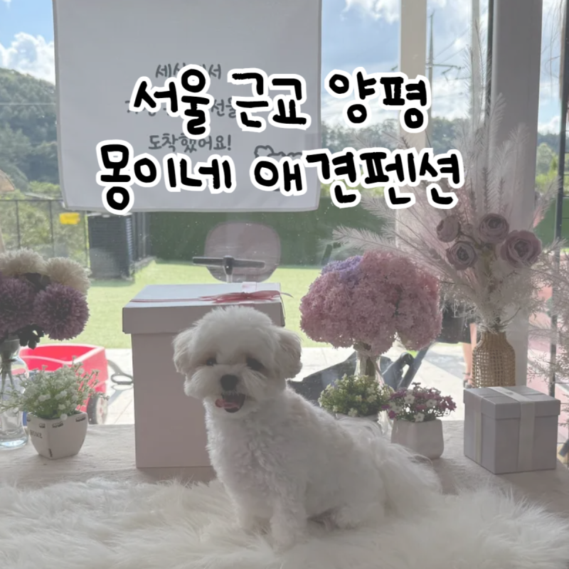 사진 6