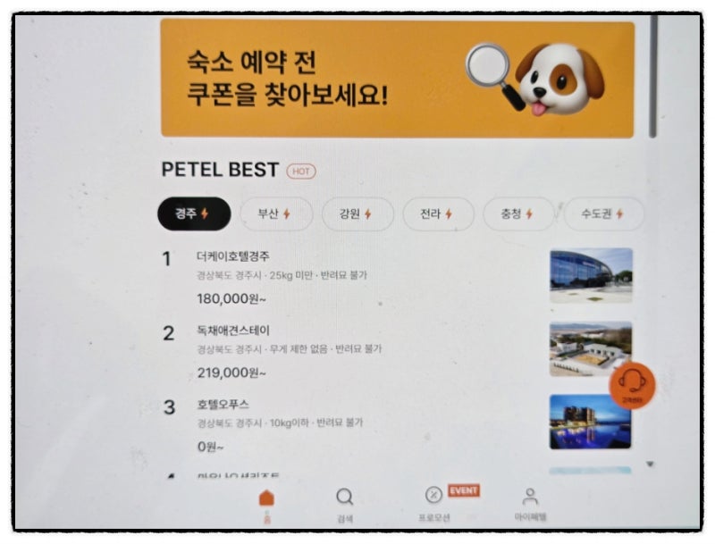 사진 14