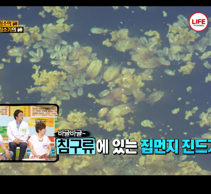  집먼지 진드기 걱정 끝용인 비치움필승스마트홈케어 매트리스 클리닝 솔직후기