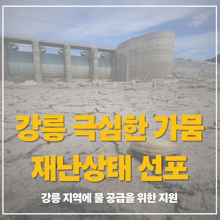 이재명 대통령 <b>강릉 가뭄</b>으로 <b>재난</b>상태 선포 지시 및 현재 상황... 