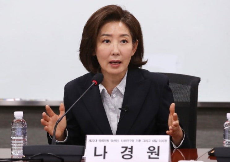 국힘, '<b>추미애</b> <b>법사위</b>'에 '5선 나경원' 배치… 내가 당... 