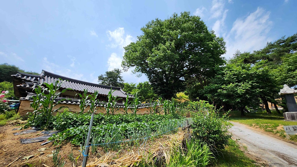 Suhyangmotel photo 2