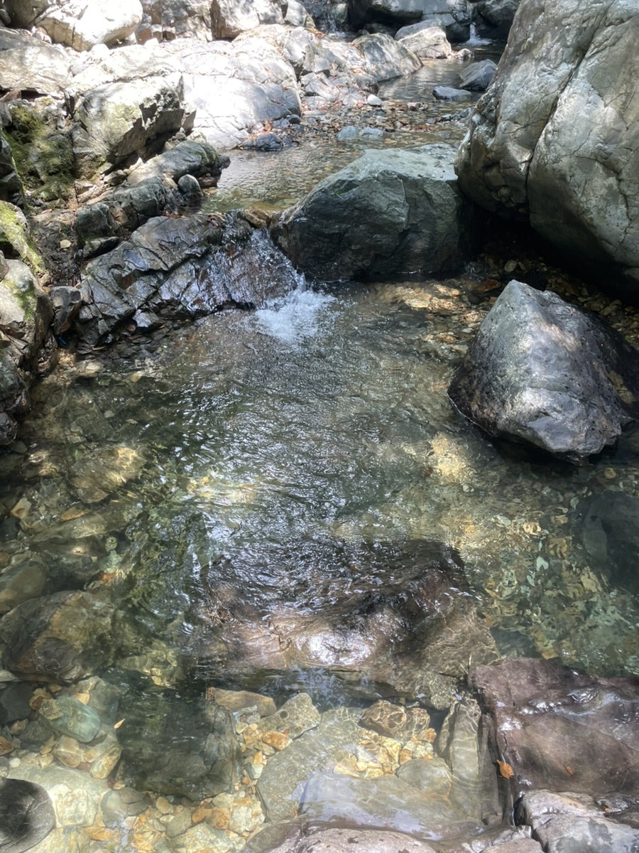 호두나무산장 사진 2