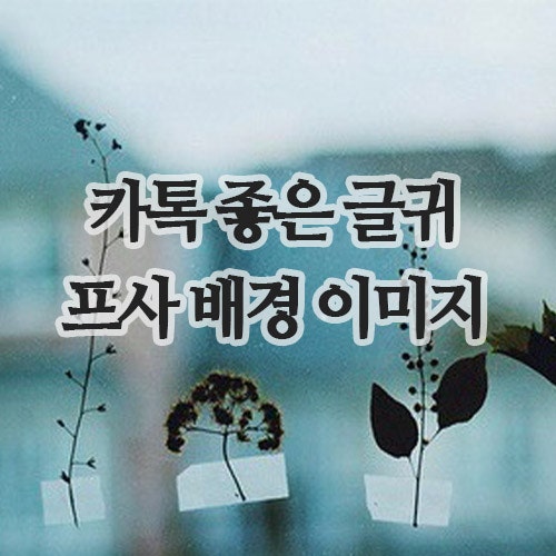  카톡 좋은 글귀, 프사 배경 이미지와 함께 전하는 9월의 따뜻한 위로