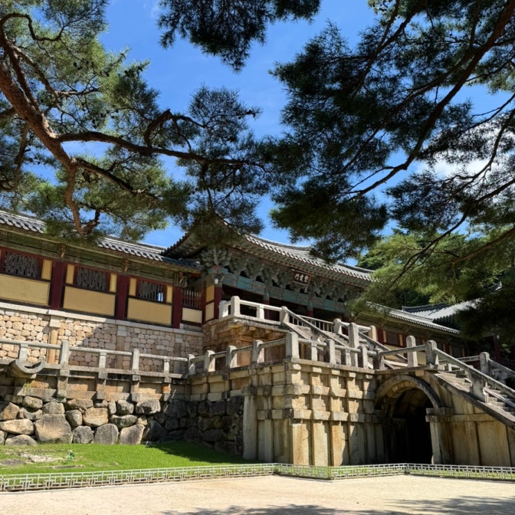  경주 가볼만한곳 불국사 문화 해설 후기와 주차 꿀팁
