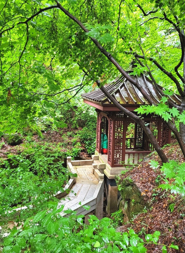  서울 부암동 석파정 서울미술관 전시 둘러보기