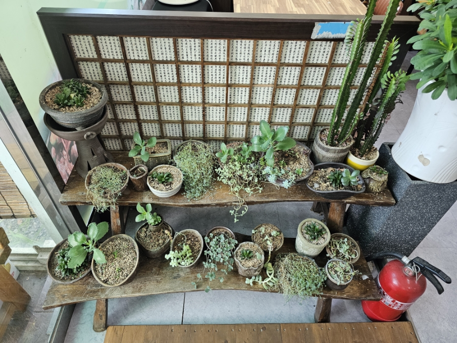 웰빙경아식당 사진 6