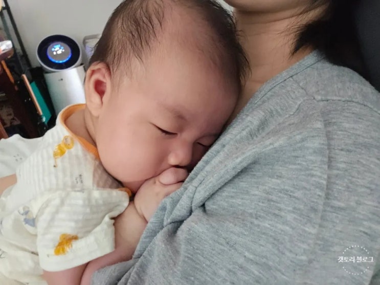  모유수유 해야 하는 이유 (닥터라이블리)
