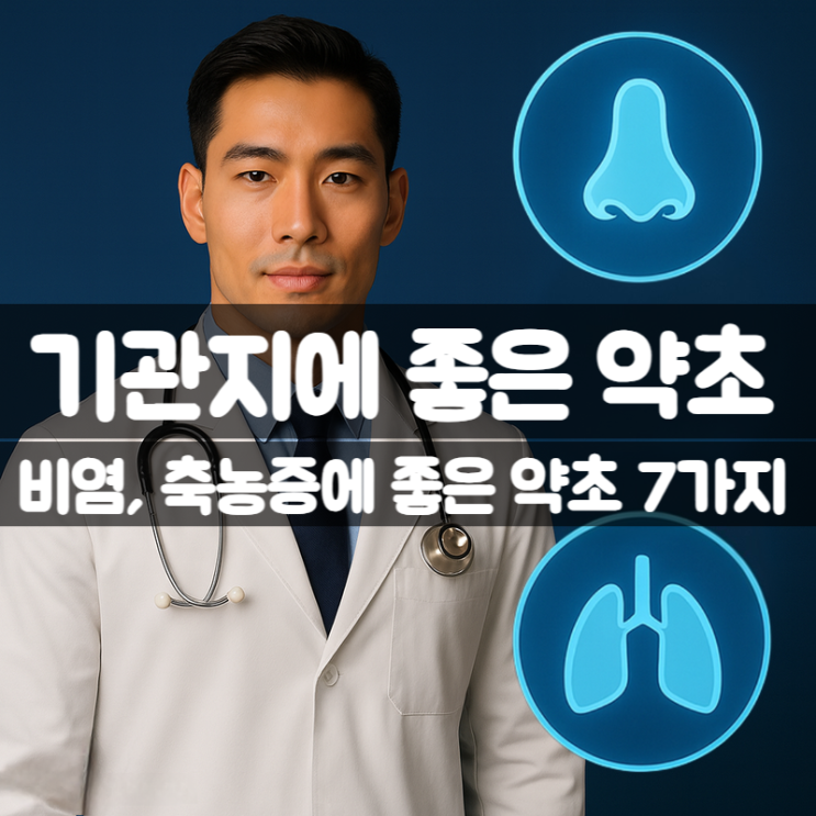  기관지에 좋은 음식 차 7가지 효능 – 축농증 비염 관리까지
