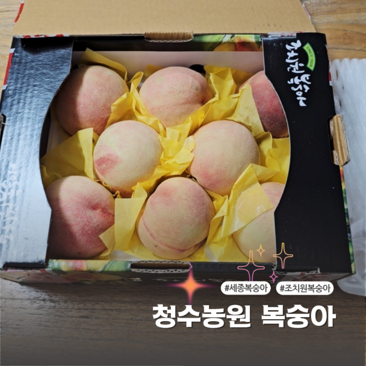  달콤하고 향이 좋은 조치원 청수농원복숭아 선물로도 좋아요