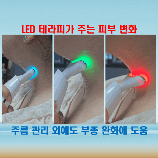  로로스키니 주름기기 넥마사지기로 목주름 케어