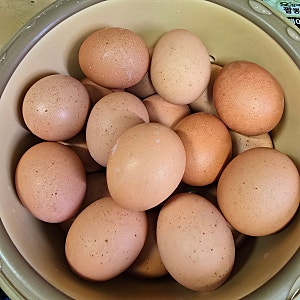 오쿠 구운계란 만들기 오쿠 맥반석 계란 찜질방 구운계란 녹차물 소금뿌려 만들어보기
