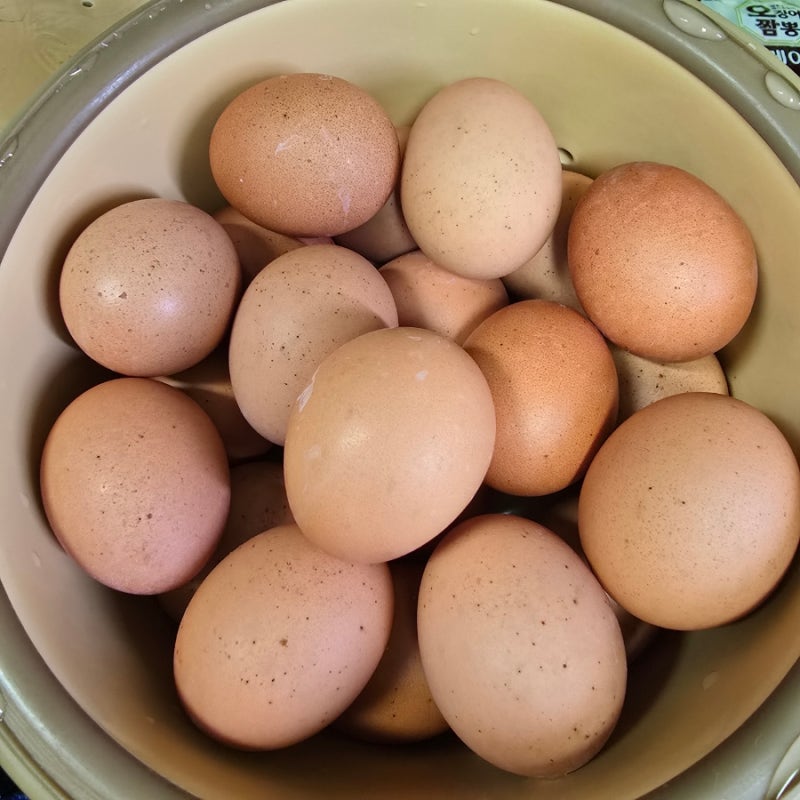 오쿠 구운계란 만들기 오쿠 맥반석 계란 찜질방 구운계란 녹차물 소금뿌려 만들어보기