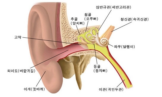 돌발성 난청 원인 6가지 와 치료 방법 및 기간