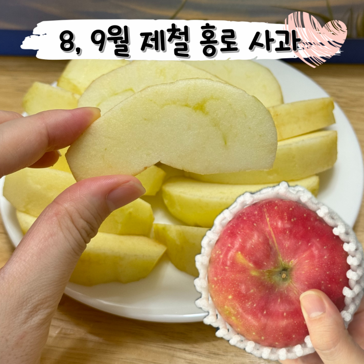  산지직송 9월 제철 과일 아삭 꿀사과 ㅣ 정담아농원 홍로 w 사과 품종별 제철표