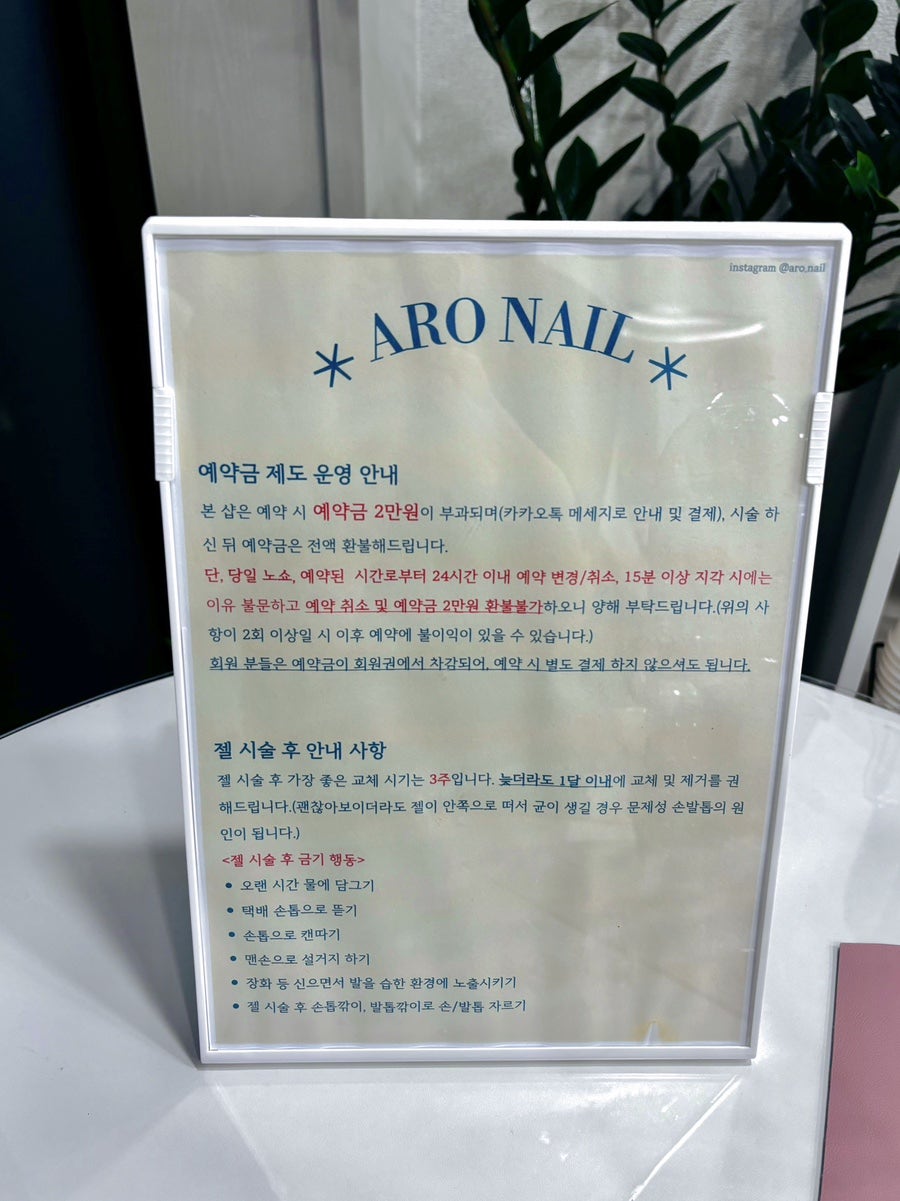 아로네일 사진 4