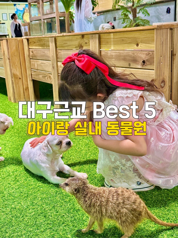  비 오는 날 주말 나들이! 대구근교 가볼만한곳 아이랑 실내 동물원 BSET 5