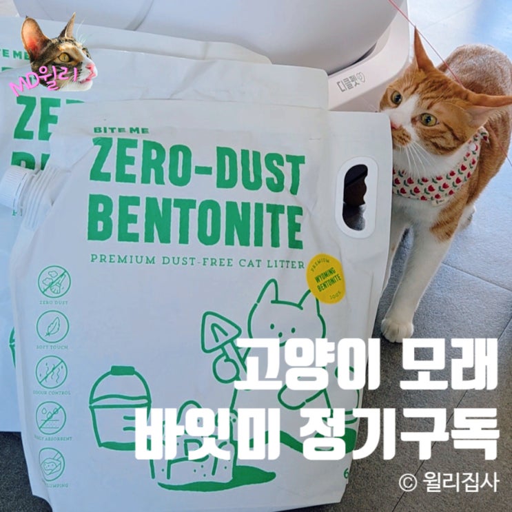  고양이 모래 제로더스트 바잇미 다묘가정 정기구독