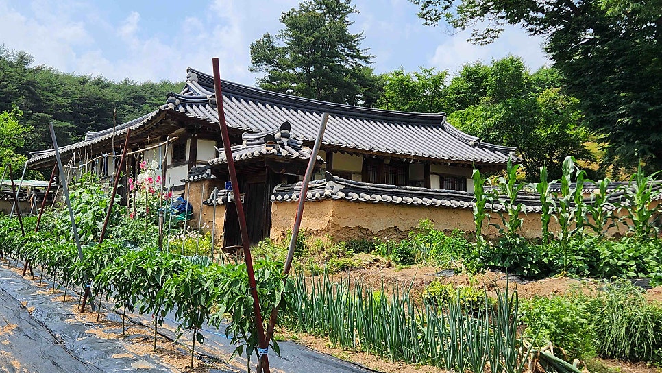 Suhyangmotel photo 3