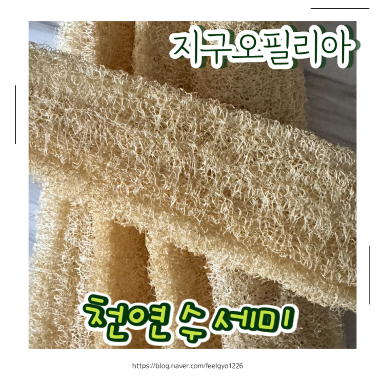  지구오필리아 천연수세미 사용기 제로웨이스트를 실천하는 친환경 수세미 추천